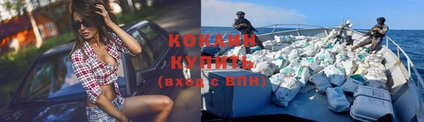 кокс Белокуриха