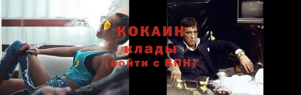 Альфа ПВП Богородицк