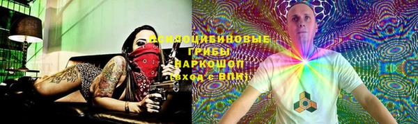 не бодяженный Богданович
