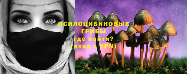 не бодяженный Богданович