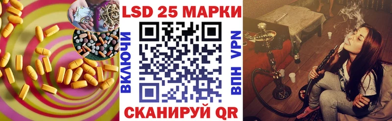 где продают наркотики  Курильск  MEGA ССЫЛКА  ЛСД экстази кислота 